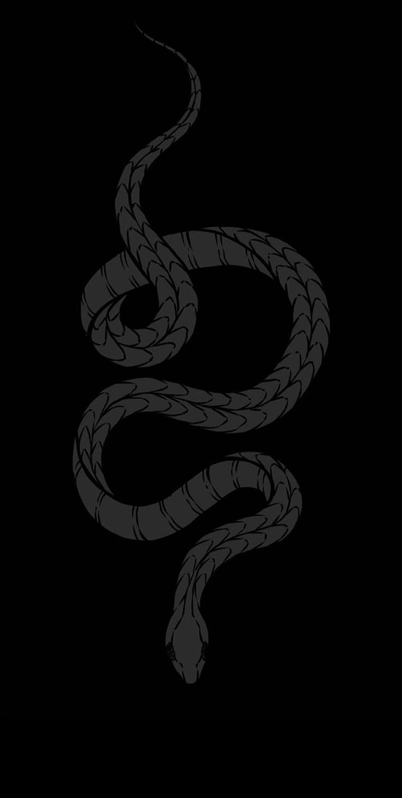 Snake, black, snakes, HD phone wallpaper