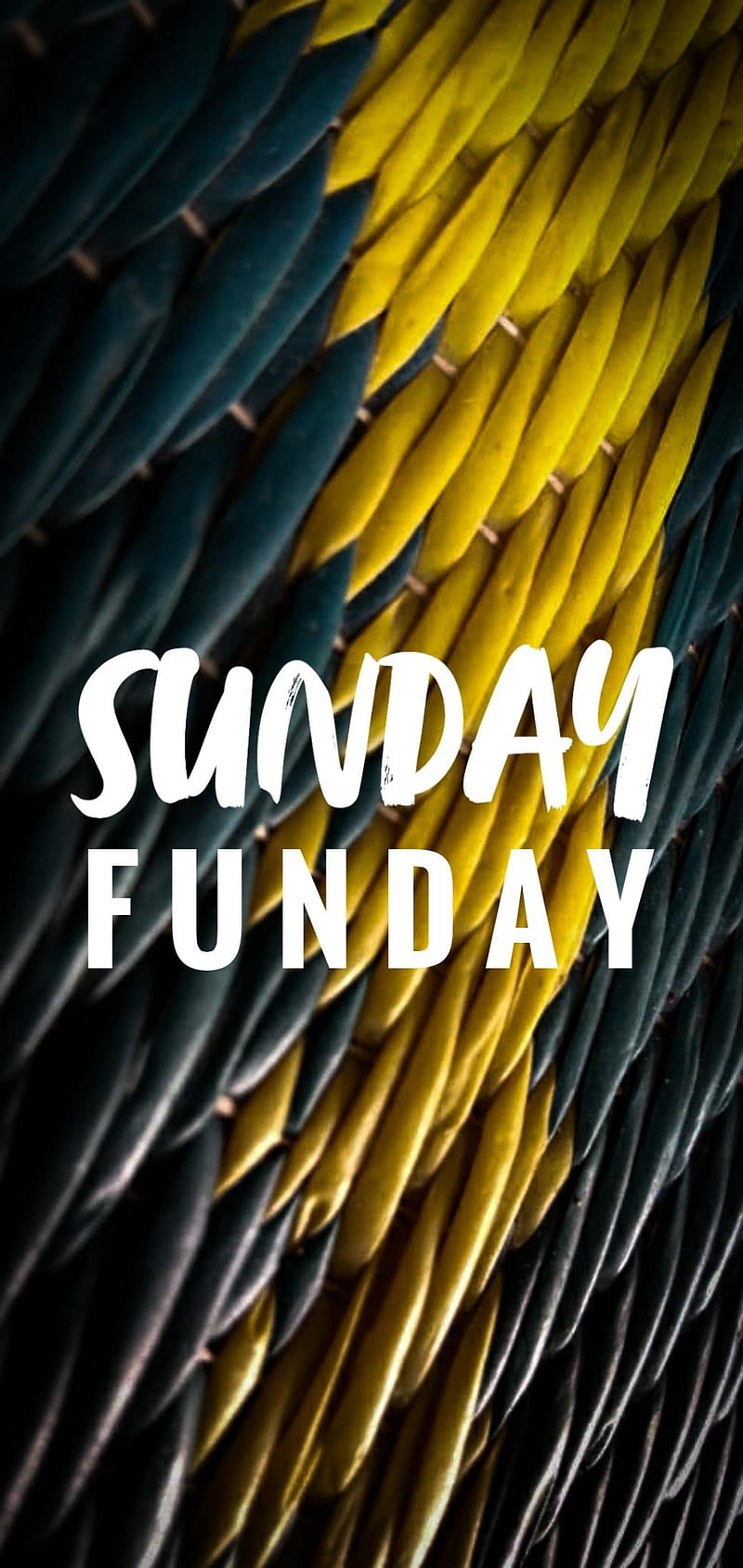 Sunday, blue, funday, yellow, HD phone wallpaper