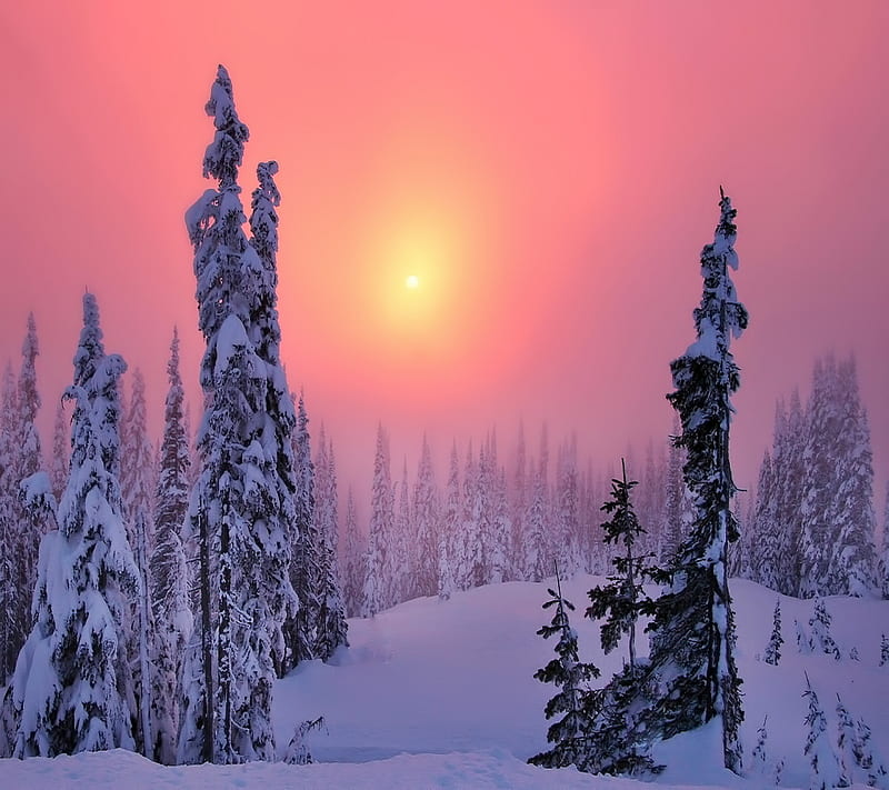 Winter, landscape, nature, snow, HD wallpaper | Peakpx
