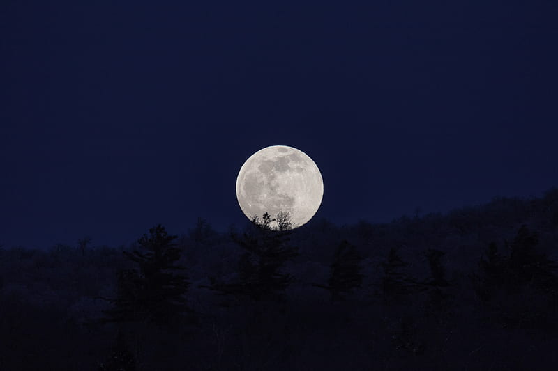 moon, full moon, night, nature, dark, HD wallpaper