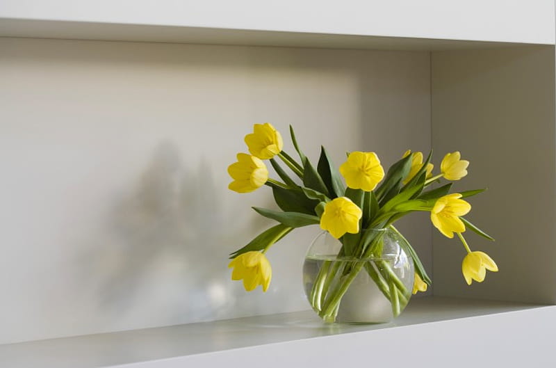 ~ Graceful tulips ~, cut, special, fresh, shelf, yellow, a vase, grace, water, green, precious, flowers, tulips, HD wallpaper