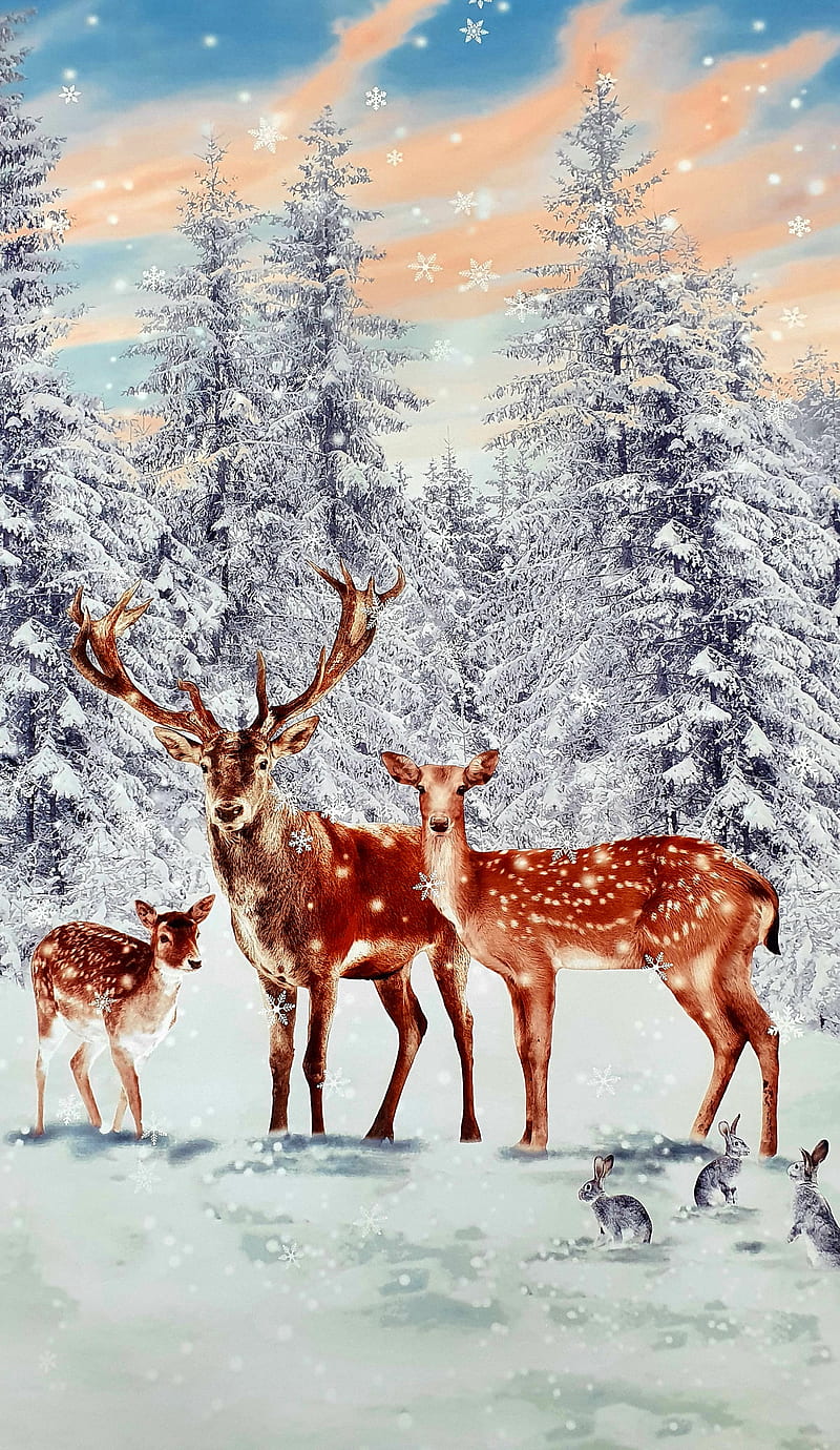 Love Deer , baby, bonito, family, natur, snowing, tree, winter, HD phone wallpaper