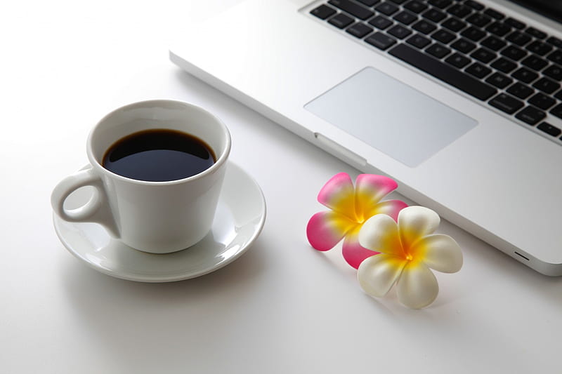 WEEKEND COFFEE with LOVE, plumeria, flowers, keyboard, coffee, HD wallpaper