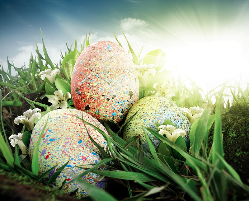 Happy Easter! , holidays, grass, celebration, spring, event, Easter, green, eggs, sunshine, freh, HD wallpaper