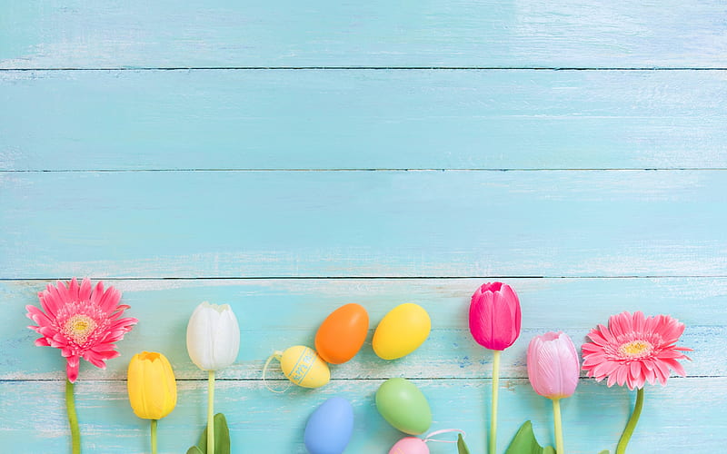 Easter, colorful eggs, tulips, spring, spring flowers, blue wooden background, HD wallpaper