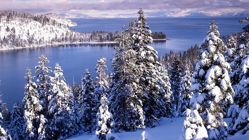 Emerald Bay, Lake Tahoe, water, california, snow, trees, lake, winter, HD wallpaper