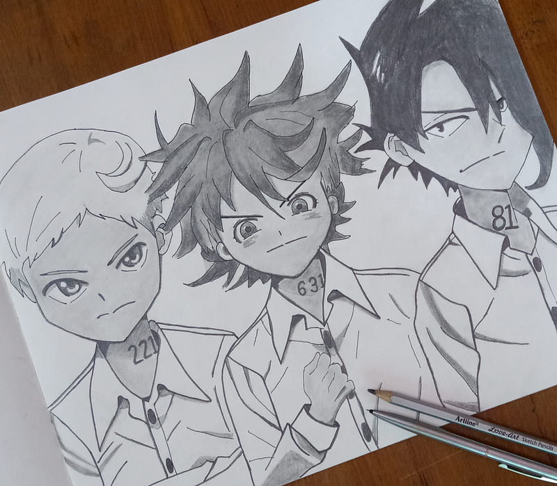 Promised neverland, anime, anime drawing, emma, norman, ray, the promised  neverland, HD wallpaper | Peakpx