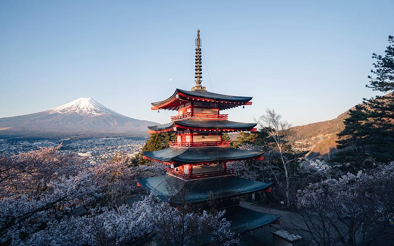 Cherry Blossoms Chureito Pagoda Mount Fuji Tokyo Japan, HD wallpaper