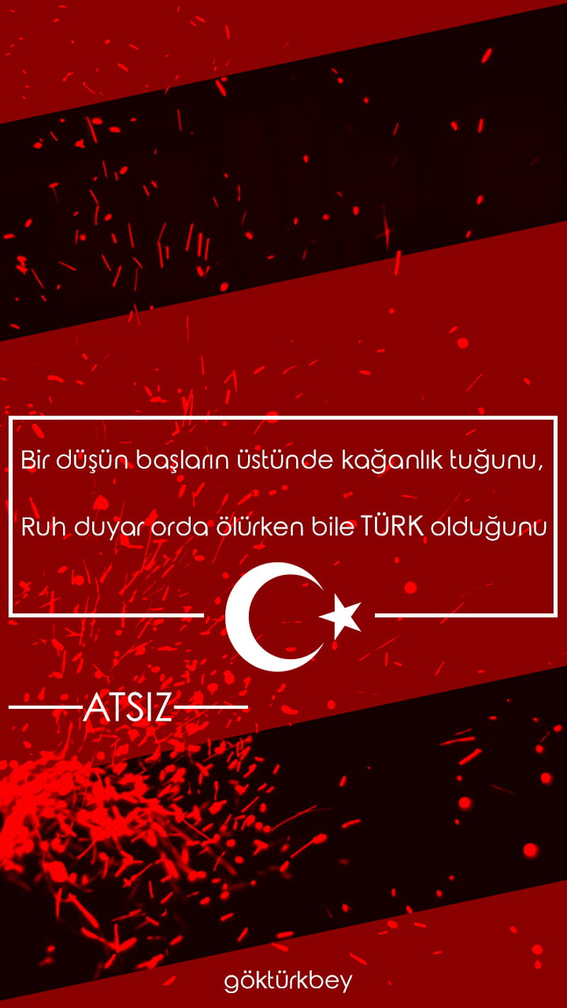 Turk, atsiz, ayyildiz, , gokturkbey, hilal, turkcutasarim, turkiye, vatan, HD phone wallpaper