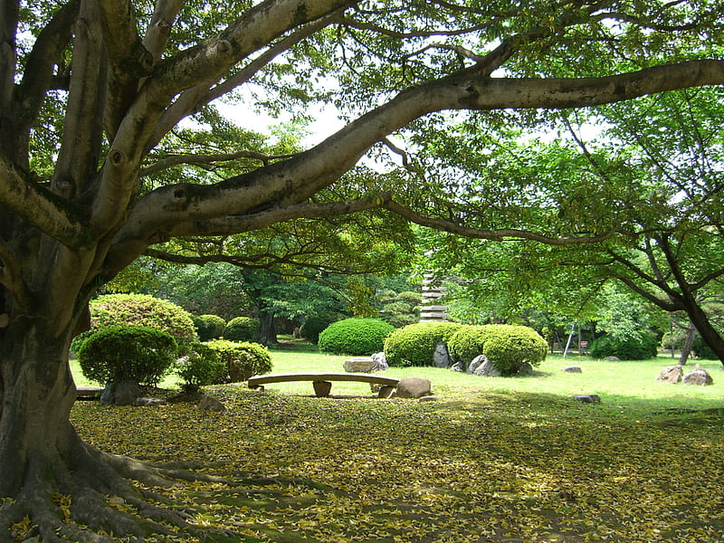 Japanese Gardens, seat, zen, trees, shrubs, tranquil, leaves, japan, statue, grounds, HD wallpaper