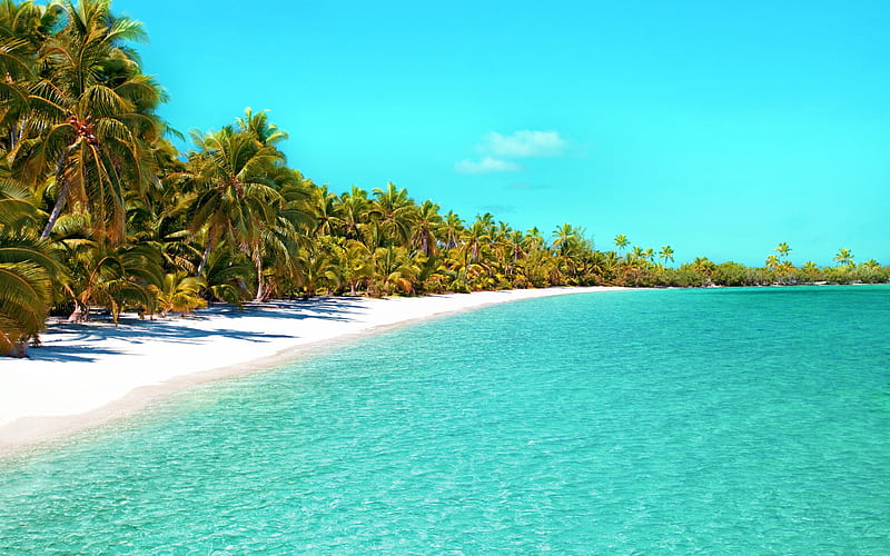 tropical island, summer, ocean, blue lagoon, palm trees, luxury beach, summer travel, HD wallpaper