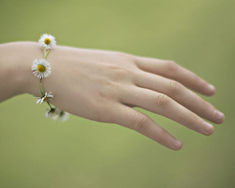 ~ FRIENDSHIP ~, bracelet, flowers, hand, simple, delicate, HD wallpaper