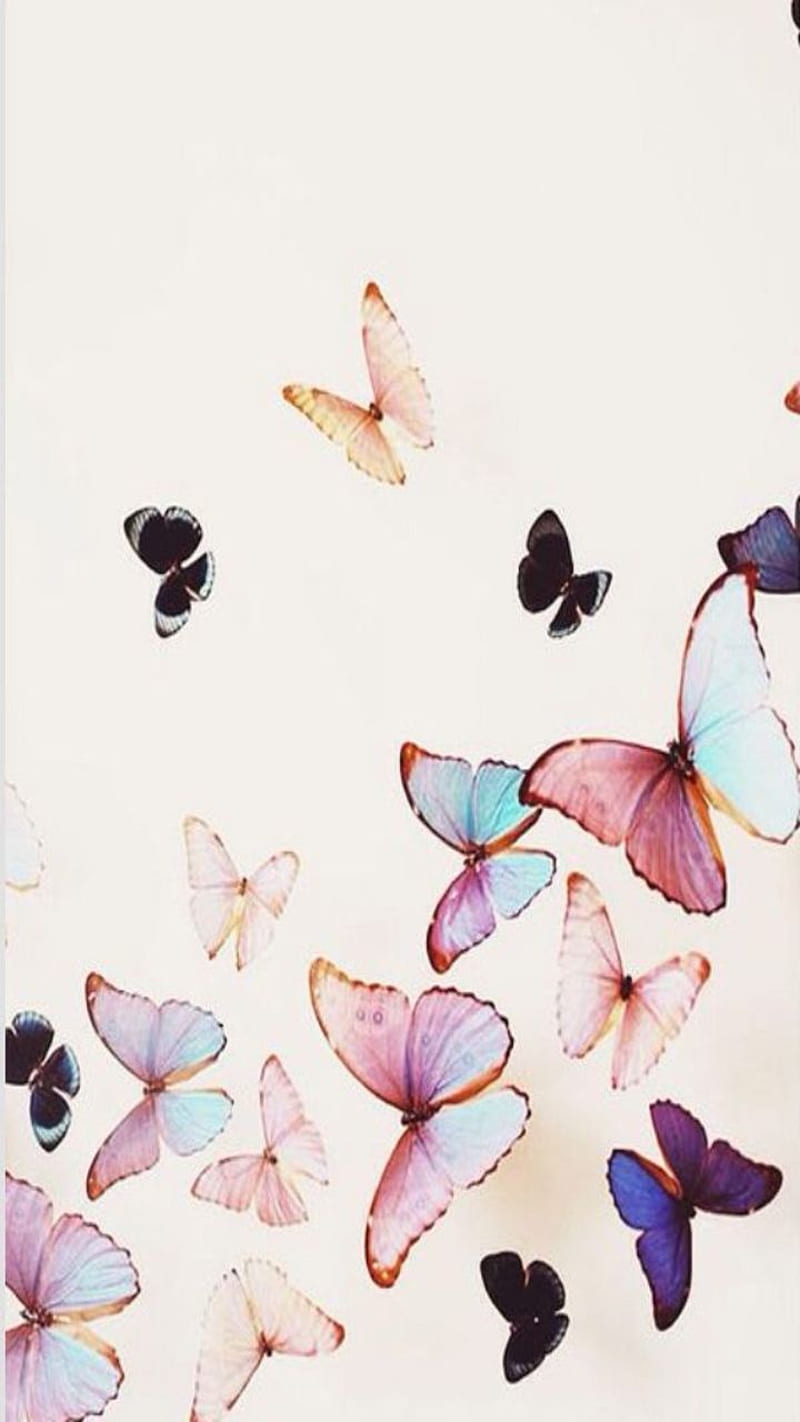 Butterflies, colorful, cute, pretty, HD phone wallpaper | Peakpx