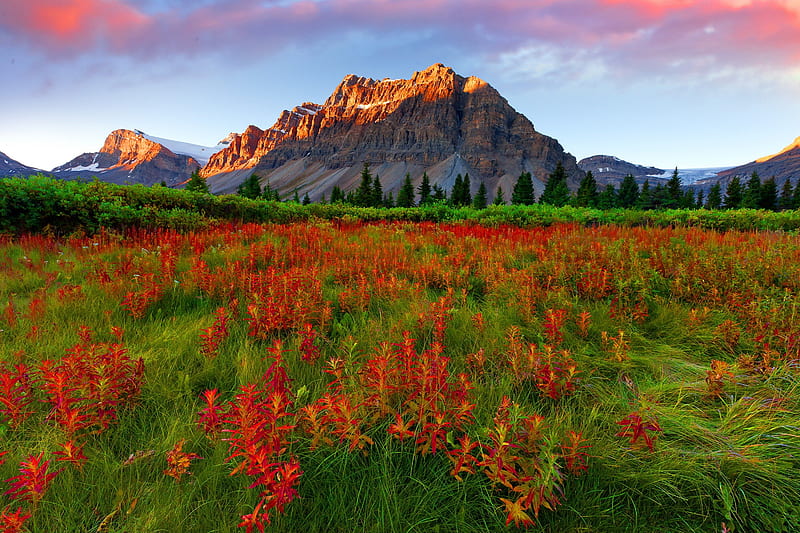 Mountain beauty, hills, red, sky, clouds, green, cliffs, wildflowers, peak, summer, flowers, nature, field, meadow, HD wallpaper