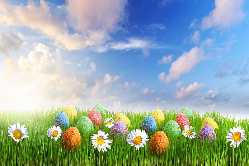Spring Time, grass, easter eggs, sunny, easter, sky, clouds, daisies, splendor, eggs, flowers, nature, happy easter, daisy, HD wallpaper