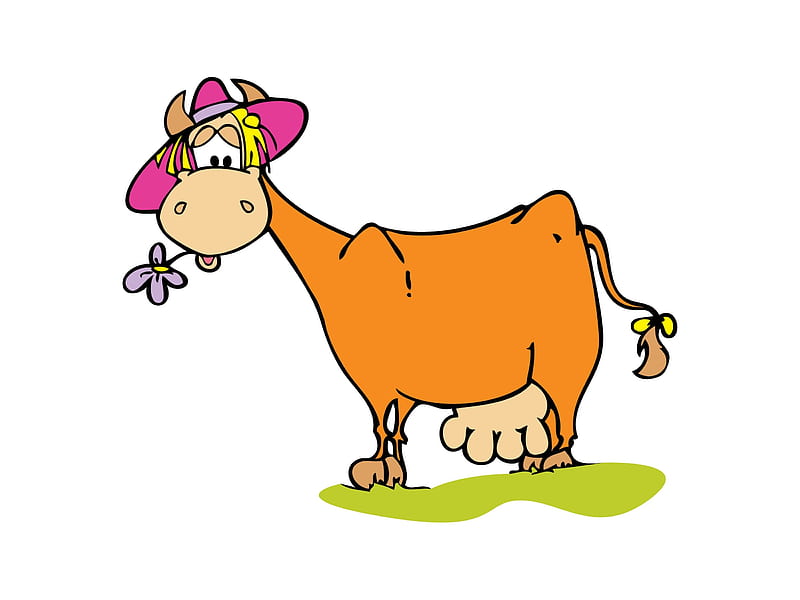 Vaca naranja animal sombrero dibujar niño vaca blanco rosa Fondo  de pantalla HD  Peakpx
