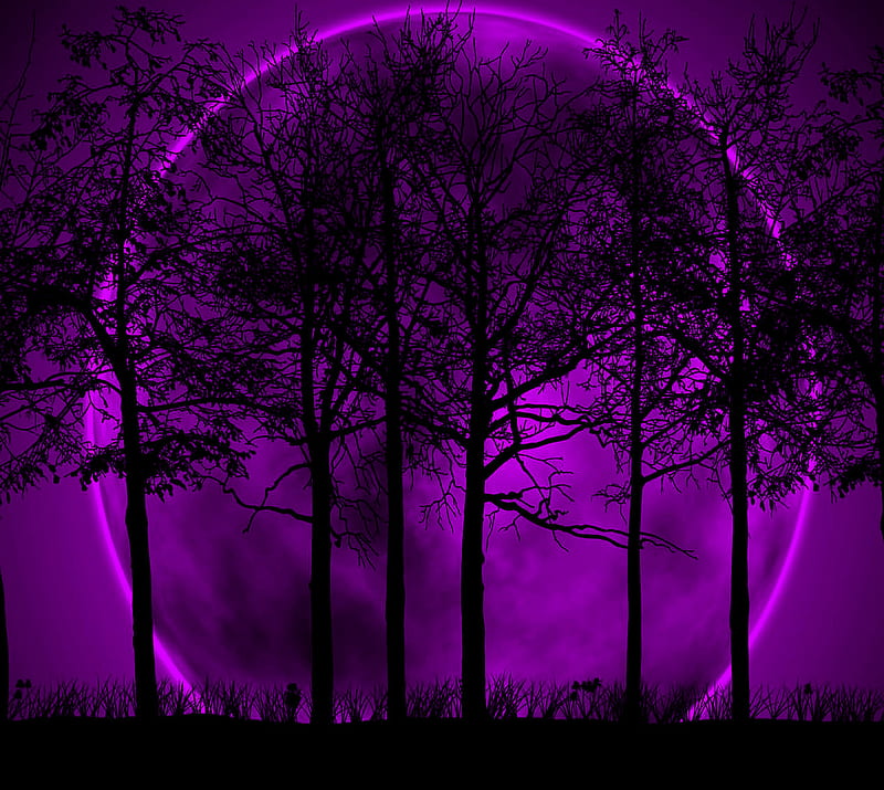 Purple moon, moon, purple, HD wallpaper