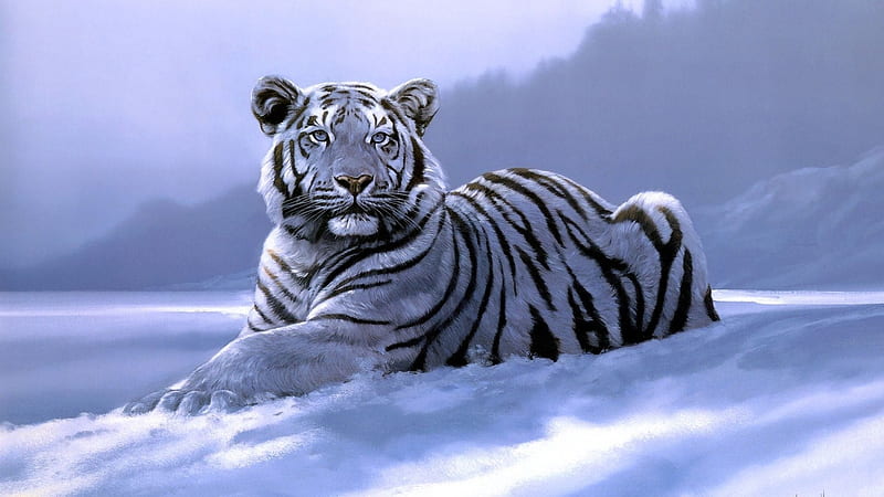 Siberian tiger, siberian, art, snow, tiger, white, animal, winter, HD wallpaper