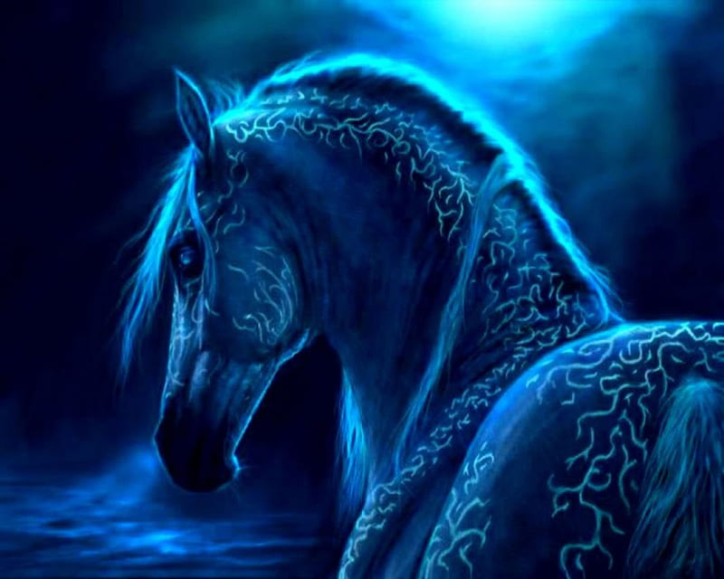 Water Horse, water, horse, blue, animals, HD wallpaper