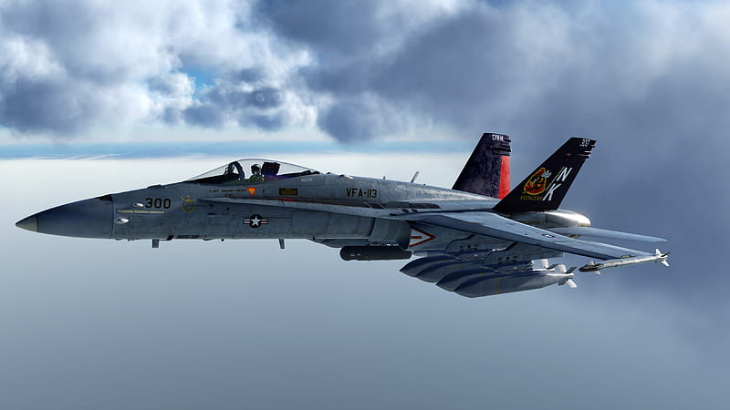 USAF ~ F/A 18 Hornet, fighter jet, aircraft, usa, hornet, HD wallpaper