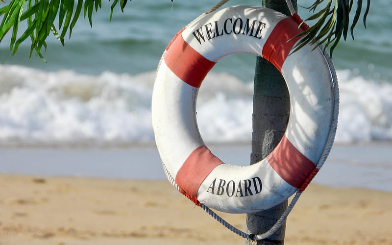 Lifebuoy, welcome to the beach, water wheely, ring buoy, lifering, lifesaver, life donut, summer, beach, palm trees, HD wallpaper