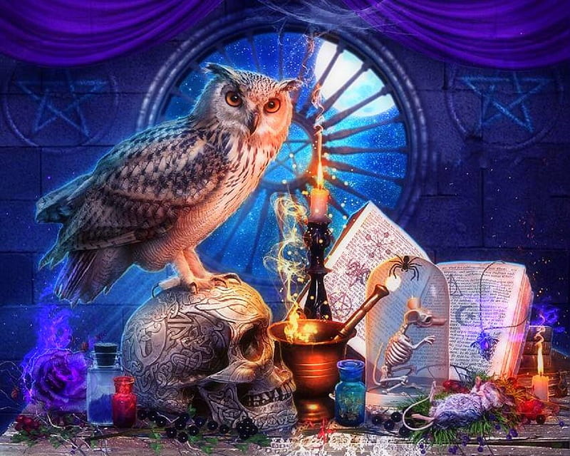 Witchcraft, candle, owl, window, halloween, curtains, love four seasons, creative pre-made, digital art, pestle, fantasy, manipulation, pentacle, moonlight, skull, HD wallpaper