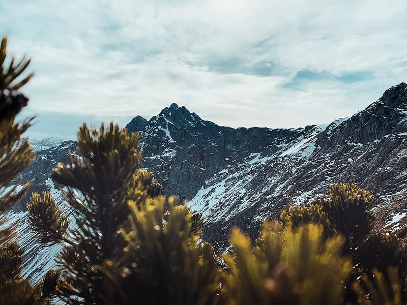 Green Trees Near Mountains Under Cloudy Sky · Free Stock Photo