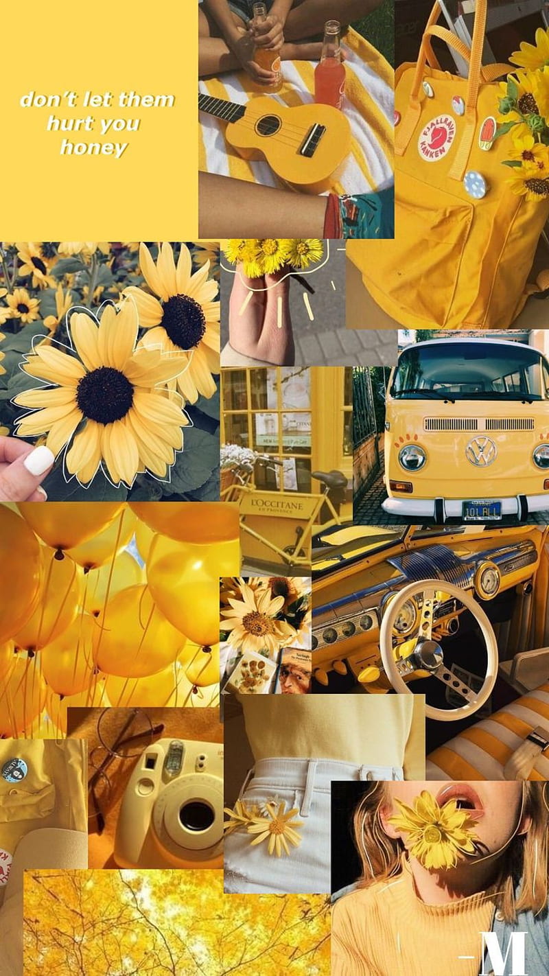 Sunflower, aesthetic, car, life, movie, sky, story, yellow, HD phone ...