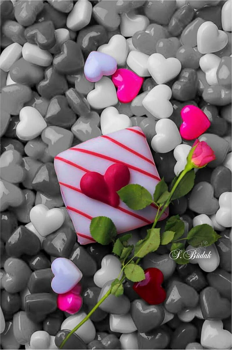 Love, hamra, corazones, hearts , love , pink, red, you, HD phone wallpaper