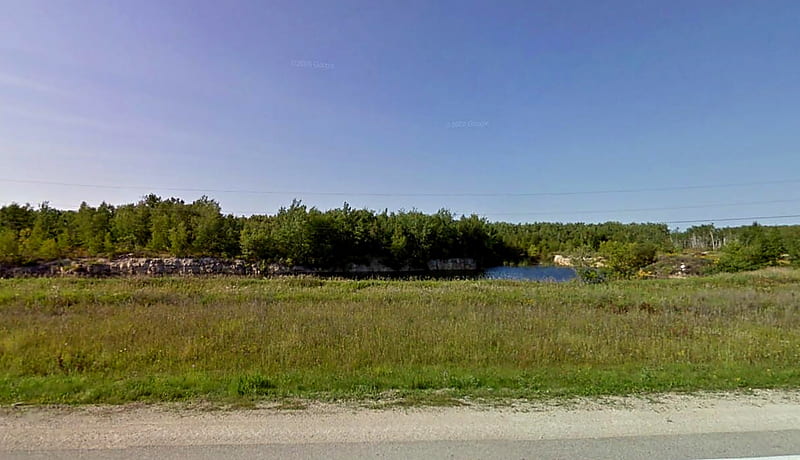 Field in Manitoba, water, grass, trees, sky, field, canada, HD wallpaper