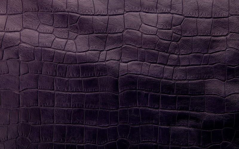 purple crocodile skin texture, purple background, skin texture, fabric texture, HD wallpaper