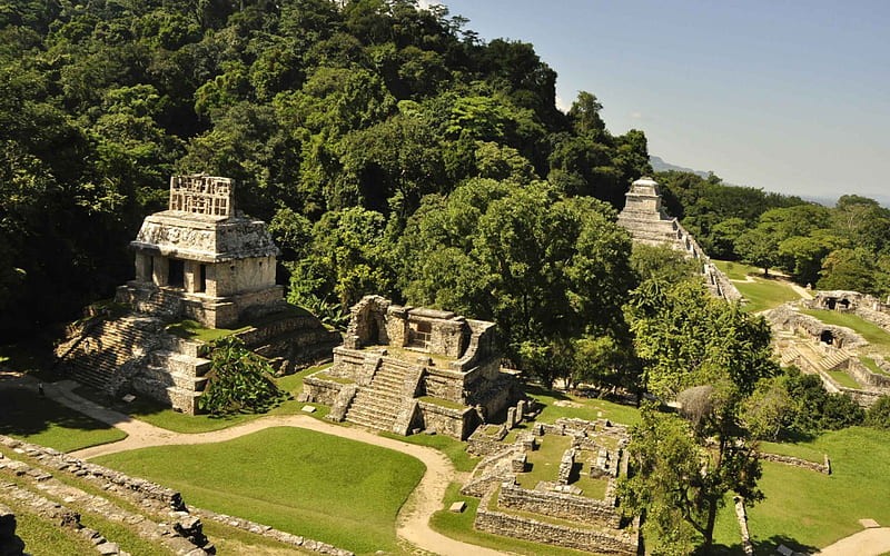 Mexico Palenque Mayan City, mexico, green, palenque, pyramid, mayan city, HD wallpaper