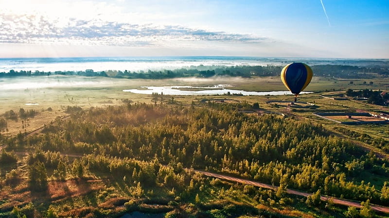 hot air balloon taking off in foggy morning, forest, balloon, morning, fog, HD wallpaper