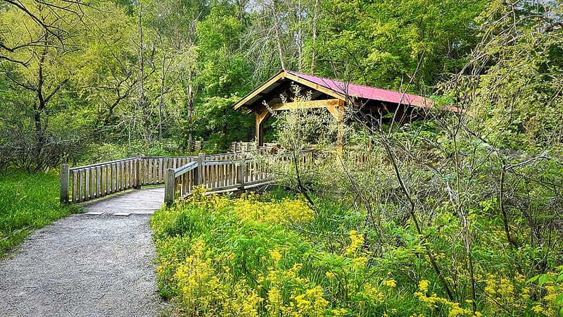 Covered Bridge in the Appalachian Mountains, North Carolina, river, trees, usa, path, summer, HD wallpaper