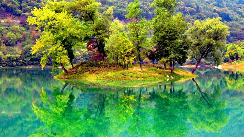 small island in a green river, green, river, island, reflections, trees, HD wallpaper