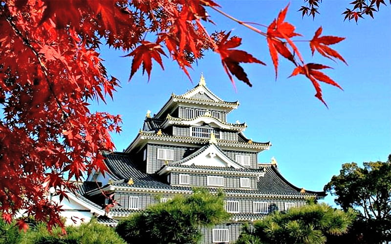 Autumn In Okayama Castle, Sky, Autumn, japan, Red, Castle, White, HD wallpaper