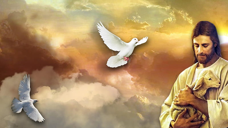 Jesus With Sheep And Flying Birds Jesus, HD wallpaper