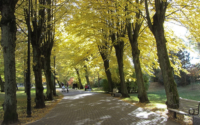 Park in Liepaja, Latvia, avenue, autumn, walkway, Latvia, park, alley, HD wallpaper