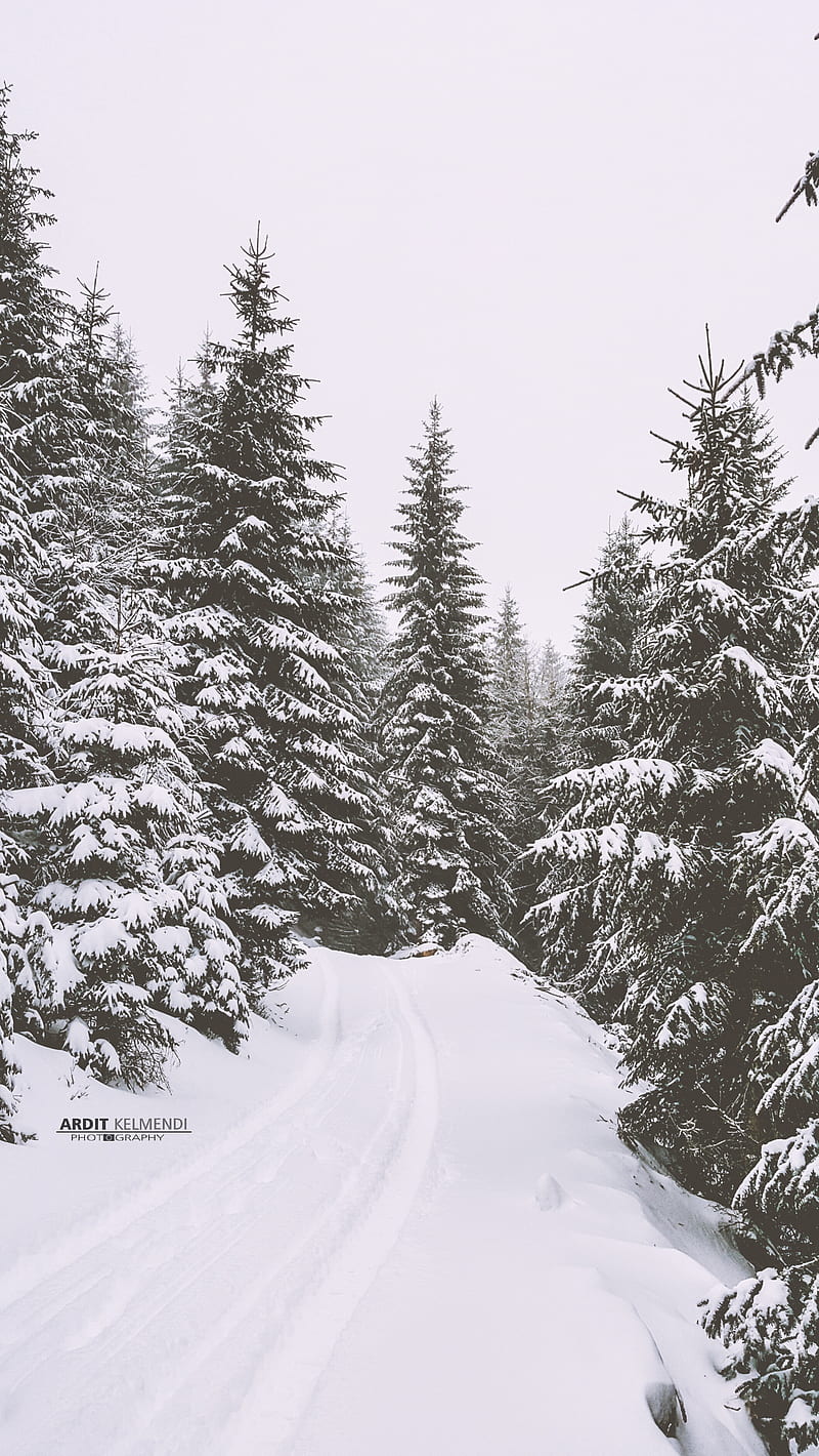 Rugova On Winter, kosova, landspace, nature, peja, road, trees, white, HD phone wallpaper