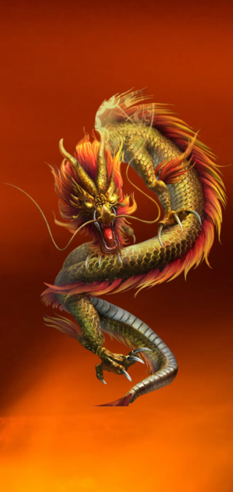 Dragon, dragons, snake, snakes, top, viper, HD phone wallpaper | Peakpx