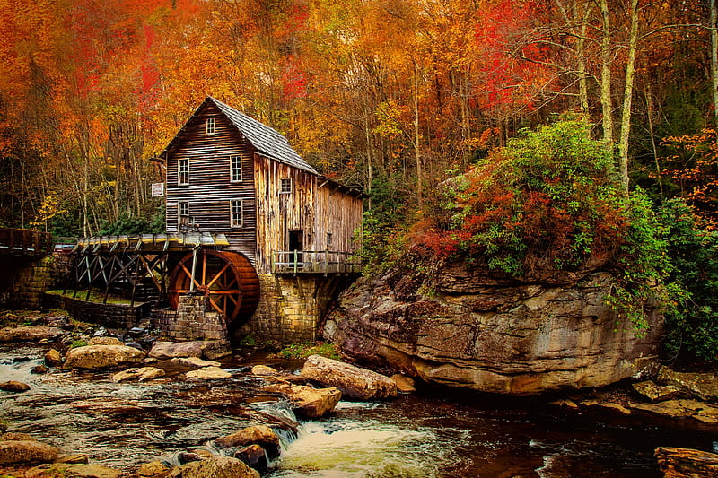 Babcock state park, forest, fall, autumn, mill, colors, bonito, park, creek, HD wallpaper