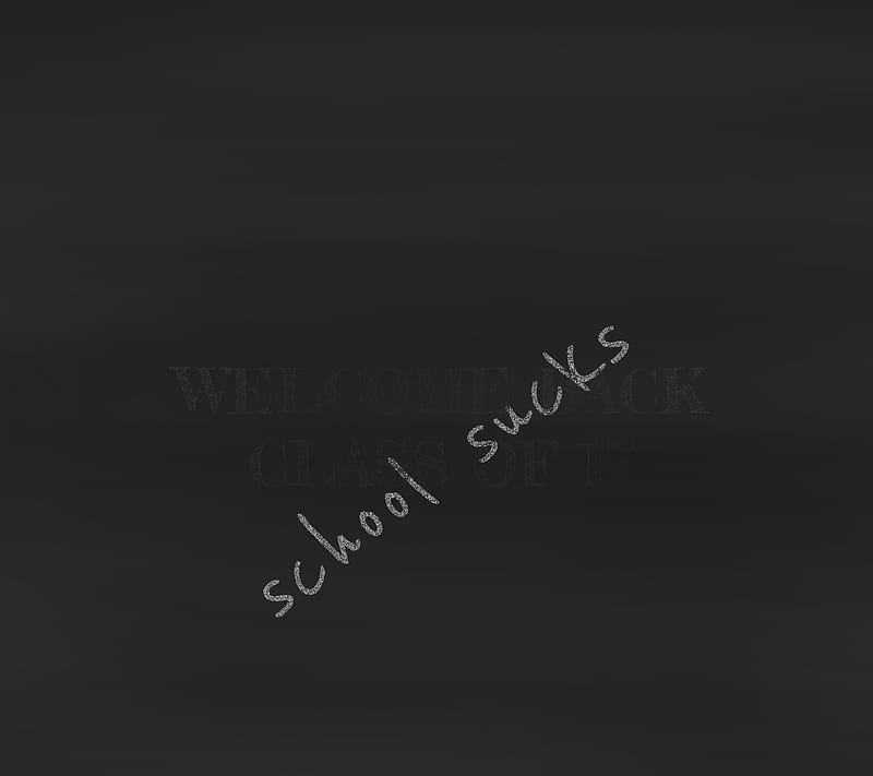 School Sucks, back, to, HD wallpaper