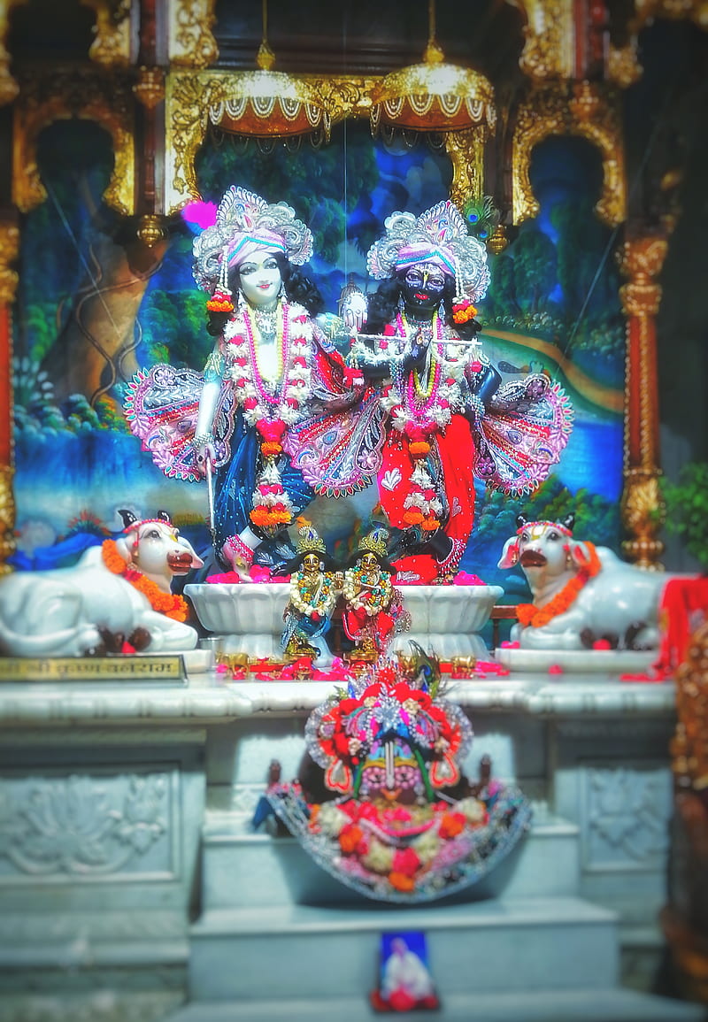 Krishna balram, dev, god, india, lord, HD phone wallpaper | Peakpx