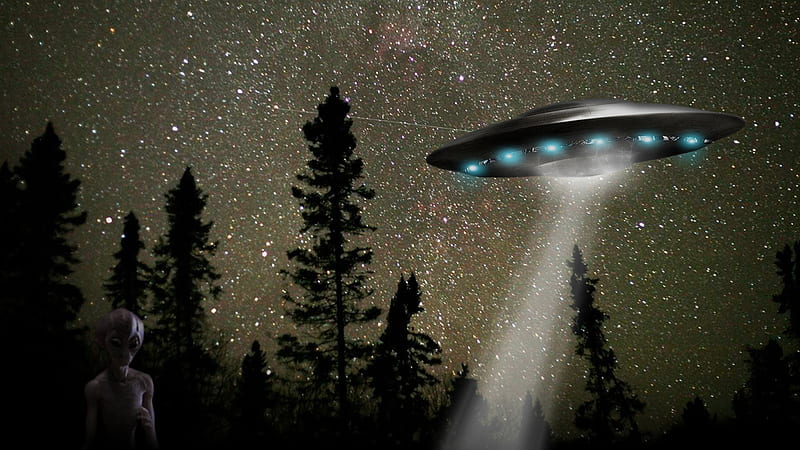 UFO visit, speedpaint, forest, visit, space, woods, technology, sci-fi, concept, ship, craft, asgard, ufo, alien, HD wallpaper