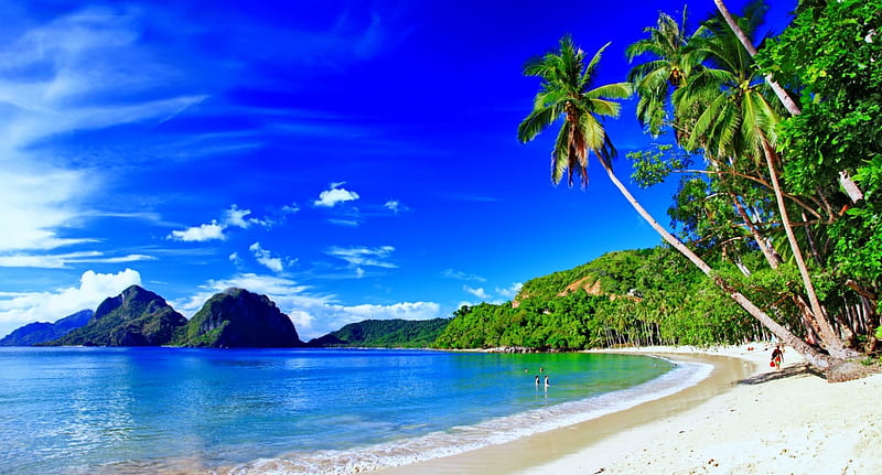Tropical island, shore, sun, sea, beach, tropics, rest, vacation, exotic, holiday, ocean, relax, palms, paradise, summer, island, tropical, sands, HD wallpaper