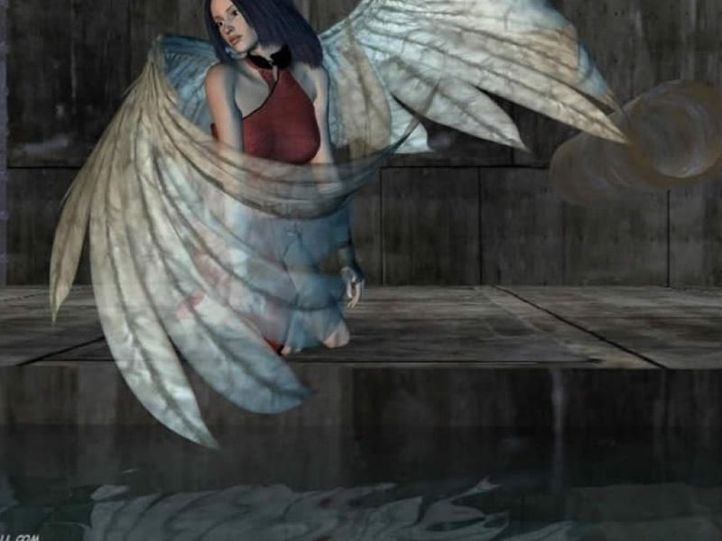 Wallpaper Wings Angel 3d Image Num 95