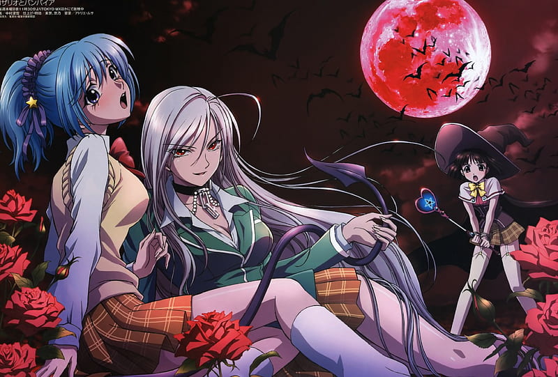 rosario and vampire, anime, other, HD wallpaper