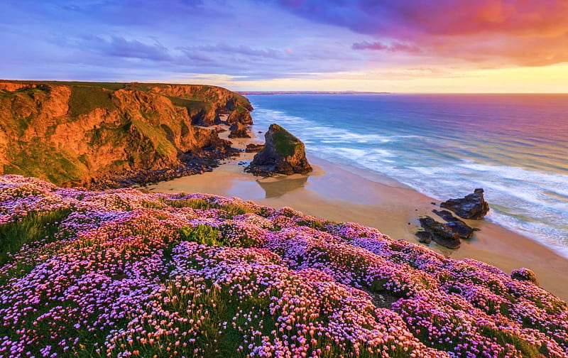 Sunset at the Coast of Cornwall, England, rocks, flowers, cliff, clouds, sea, HD wallpaper