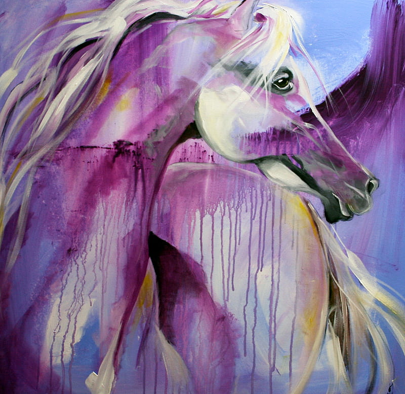 White Arabian, fantasy, purple, paint, manipulation, white, horse, abstract, HD wallpaper