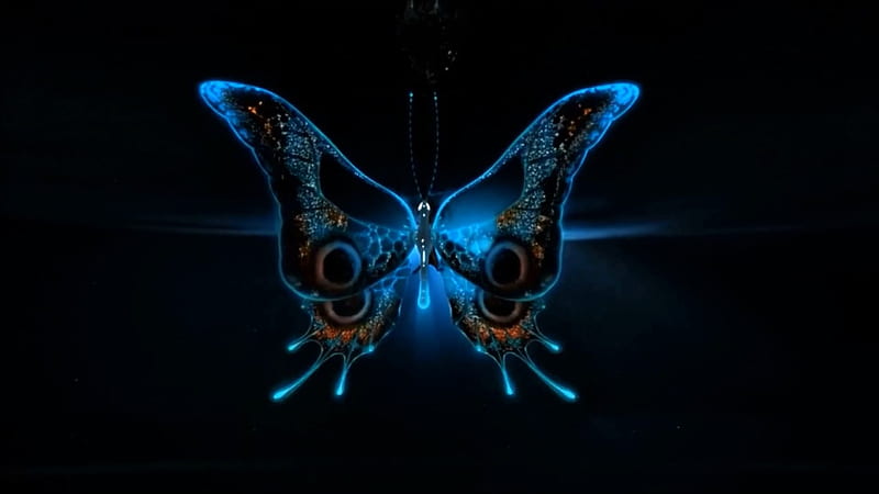 Neon Butterfly, 3d, butterfly, insect, abstract, blue, HD wallpaper